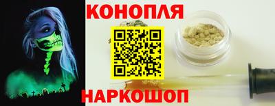 Альфа ПВП Новозыбков