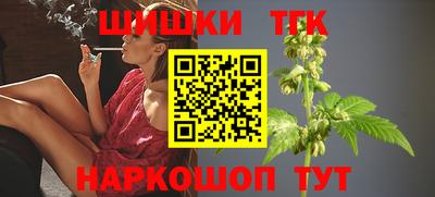 Альфа ПВП Новозыбков