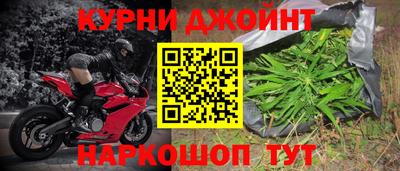 Альфа ПВП Новозыбков
