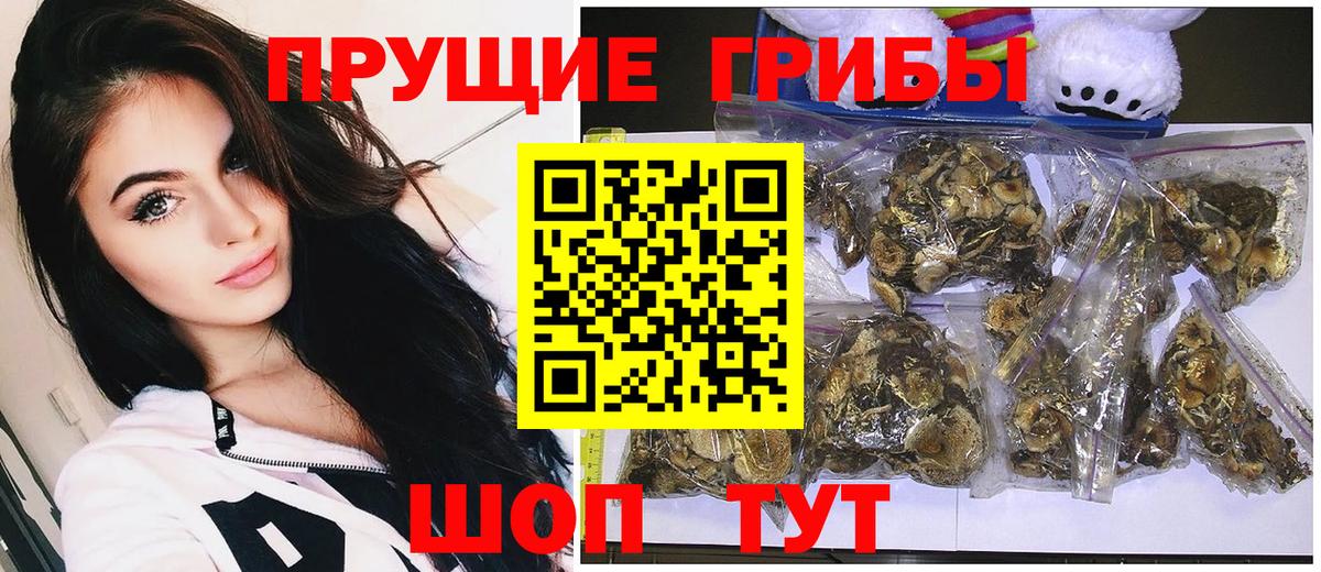 Псилоцибиновые грибы Cubensis  Вход с VPN  Псилоцибиновые грибы GOLDEN TEACHER  Тихвин 